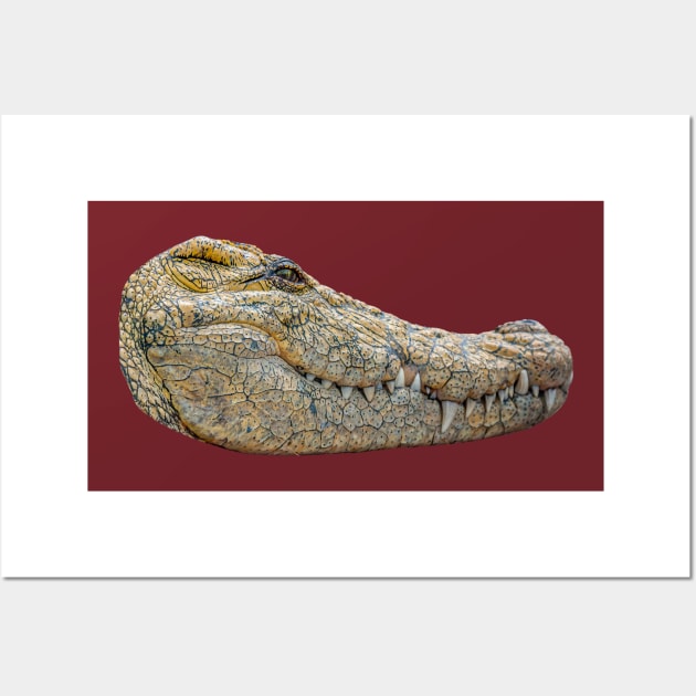 Alligator head Wall Art by dalyndigaital2@gmail.com